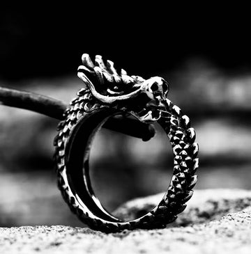 Eternal Dragon Ring – Gothic Stainless Steel Mythic Jewelry