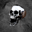 Laughing Skull Ring – Stainless Steel Moving Jaw Skull Ring