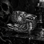 Odin’s Ravens Ring – Stainless Steel Huginn & Muninn Ring