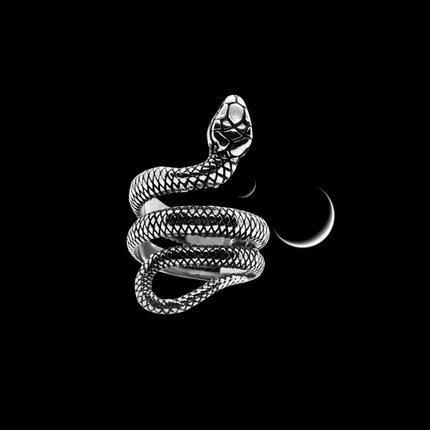 Serpent Ascension Ring – Stainless Steel Snake Ring for Transformation & Protection