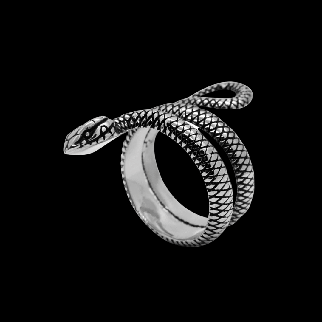 Serpent Ascension Ring – Stainless Steel Snake Ring for Transformation & Protection
