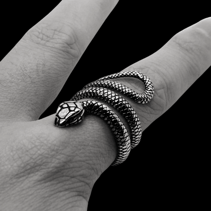 Serpent Ascension Ring – Stainless Steel Snake Ring for Transformation & Protection