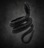 Serpent Ascension Ring – Stainless Steel Snake Ring for Transformation & Protection