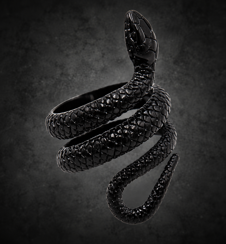 Serpent Ascension Ring – Stainless Steel Snake Ring for Transformation & Protection