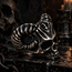 Ram Half Skull Ring – Stainless Steel Occult Statement Ring