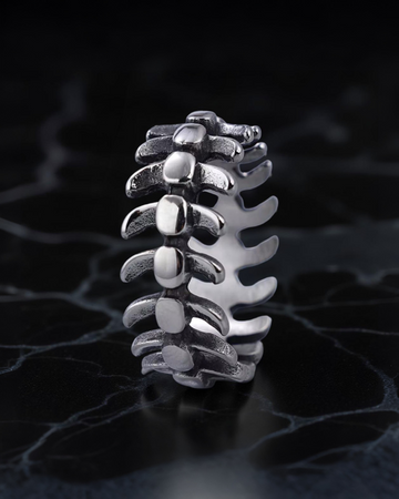 Spinal Cord Stainless Steel Ring
